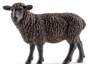 گوسفند سیاه اشلایش Schleich