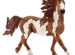 اسب پینتو نر اشلایش Schleich