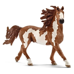 اسب پینتو نر اشلایش Schleich