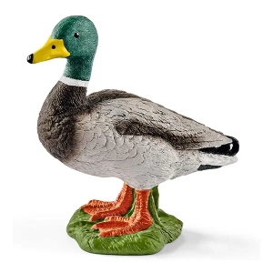 مرغابی نر اشلایش Schleich