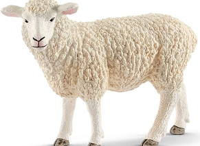 گوسفند اشلایش