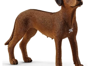 سگ رودسین ریجبک اشلایش Schleich