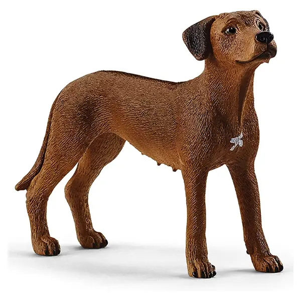 سگ رودسین ریجبک اشلایش Schleich