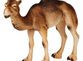 شتر درومدری اشلایش Schleich