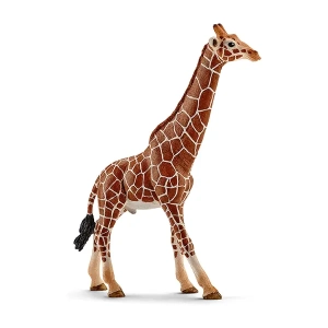 زرافه نر اشلایش Schleich