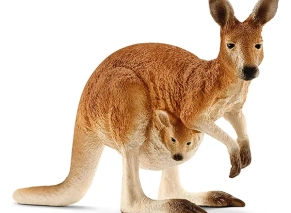 کانگورو اشلایش Schleich