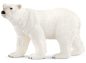 خرس قطبی اشلایش