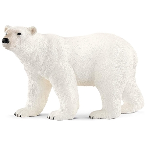 خرس قطبی اشلایش