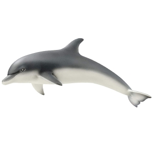 دلفین اشلایش