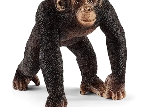 شامپانزه نر اشلایش Schleich