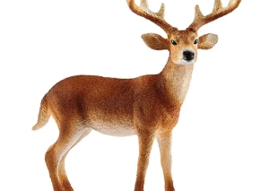 گوزن دم سفید اشلایش Schleich