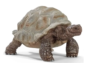 لاک پشت غول پیکر اشلایش Schleich