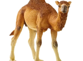شتر درومدری ماده اشلایش Schleich