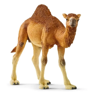 شتر درومدری ماده اشلایش Schleich