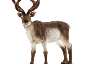 گوزن شمالی اشلایش Schleich