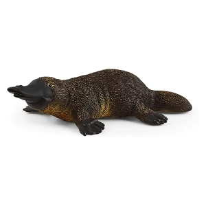 پلاتیپوس اشلایش Schleich