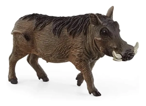 گراز وحشی اشلایش Schleich