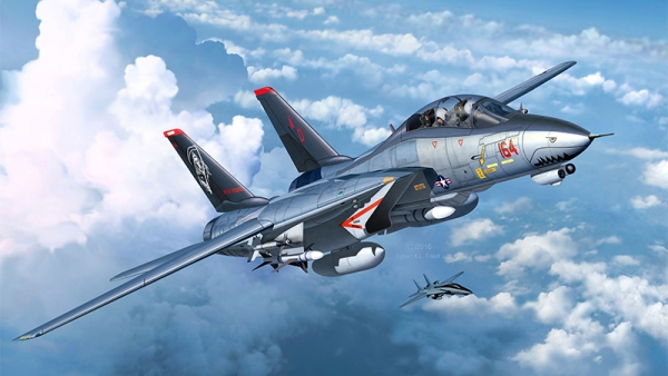 کیت ساختنی هواپیما Revell مدل F-14 D Super Tomcat