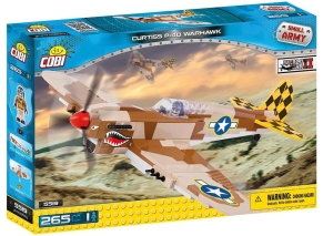 هواپیما جنگنده ساختنی کوبی مدل Curtiss P-40 Warhawk کد 5519