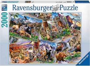 پازل 2000 قطعه Ravensburger طرح کارت پستال پارک‌ها