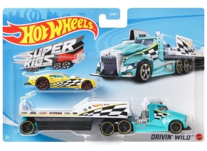 ماشین Hot Wheels مدل Drivin Wild