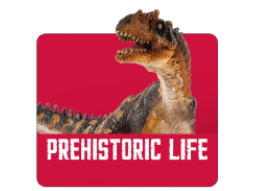 Prehistoric Life