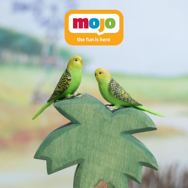 mojo birds