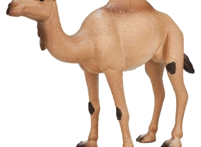 شتر عربی 387113 Mojo
