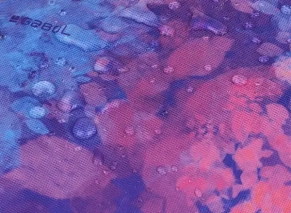 کوله پشتی مدرسه ای گابل Gabol مدل SUNSET 1