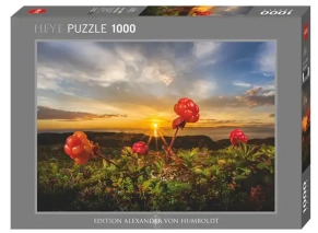 پازل 1000 تکه هیه طرح «کلودبری»