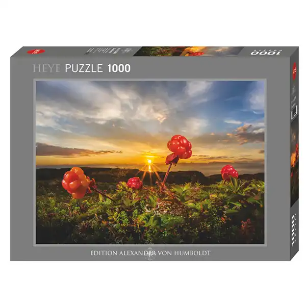 پازل 1000 تکه هیه طرح «کلودبری»