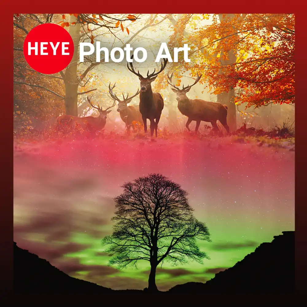 پازل های سری Photo Art برند هیه HEYE