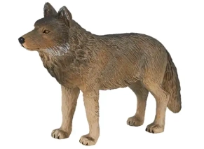 گرگ جنگلی موژو