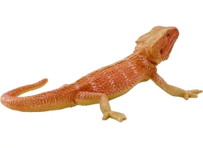 اژدهای ریش دار