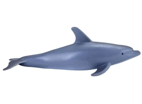 دلفین پوزه بطری