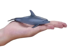 دلفین پوزه بطری