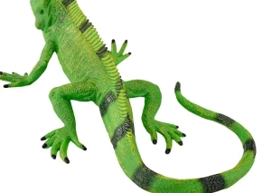 ایگوانا موژو