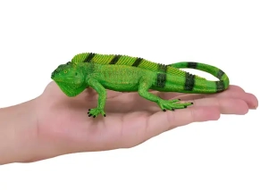 ایگوانا موژو