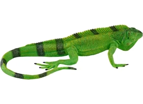 ایگوانا موژو فان