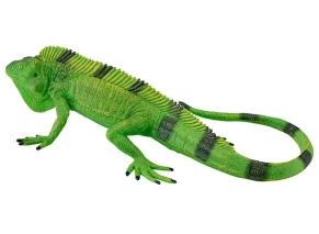 ایگوانا موژو