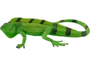 ایگوانا موژو