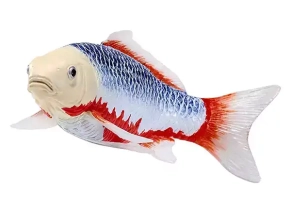 ماهی کوی موژو