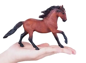 اسب لوسیتانو