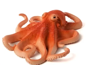 اختاپوس موژو