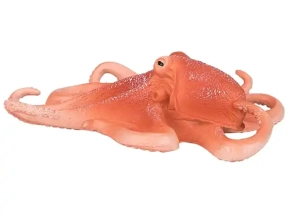 اختاپوس موژو