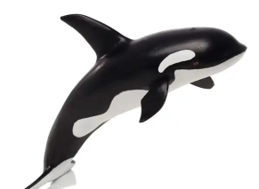 نهنگ قاتل موژو