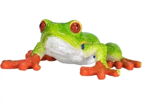 قورباغه چشم قرمز درختی موژو