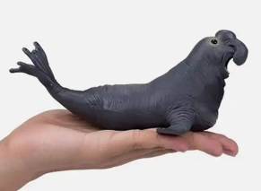 فیل دریایی موژو