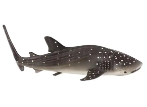 کوسه نهنگ موژو