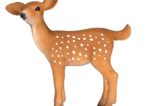 توله گوزن دم سفید موزو